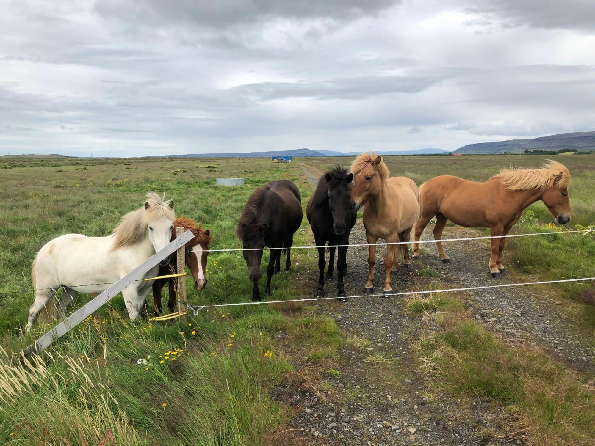 Þrándarholt Vila Hreppholar Exterior foto